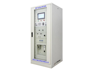 XTK-9002煤氣在線分析系統-含粉塵、高濕、有焦油